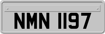 NMN1197
