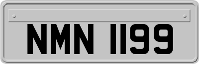 NMN1199