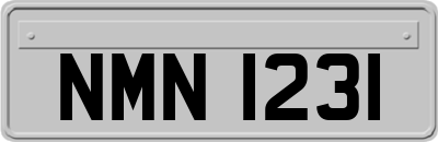 NMN1231