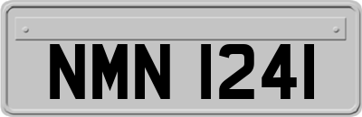 NMN1241