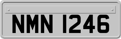NMN1246