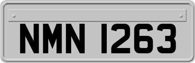 NMN1263