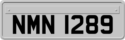 NMN1289