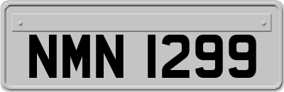 NMN1299