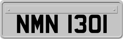 NMN1301