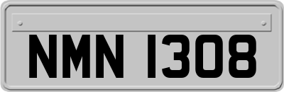 NMN1308
