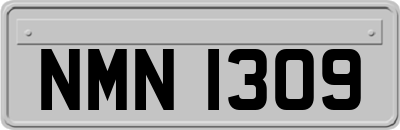 NMN1309