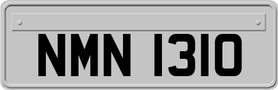 NMN1310