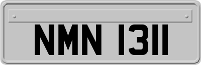 NMN1311