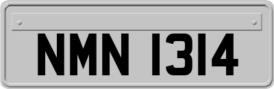 NMN1314