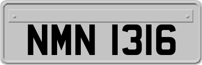 NMN1316