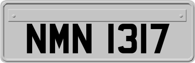 NMN1317