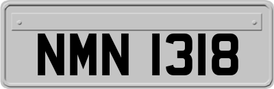 NMN1318