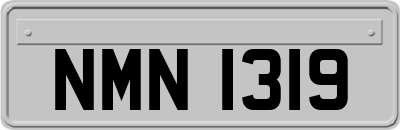 NMN1319