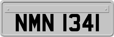 NMN1341