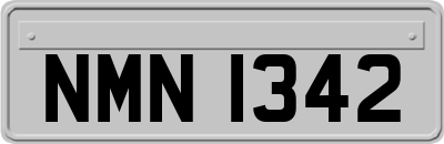 NMN1342