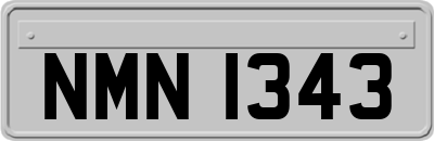 NMN1343