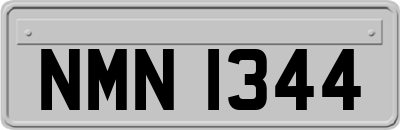 NMN1344