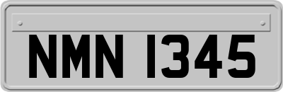 NMN1345