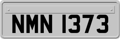 NMN1373