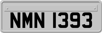 NMN1393