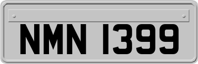 NMN1399