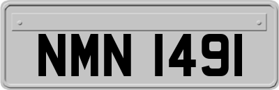 NMN1491