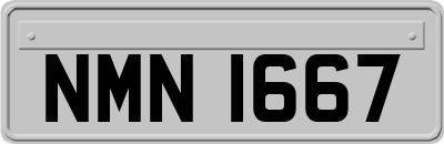NMN1667