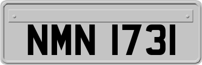 NMN1731
