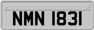 NMN1831
