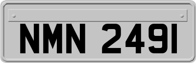 NMN2491
