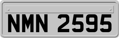 NMN2595