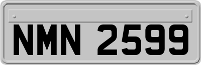 NMN2599