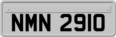 NMN2910