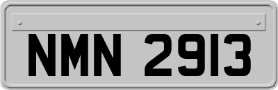 NMN2913