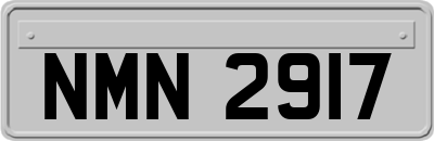 NMN2917
