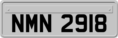 NMN2918