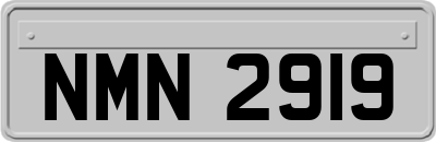 NMN2919