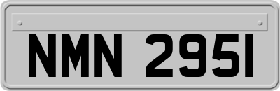 NMN2951