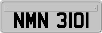 NMN3101