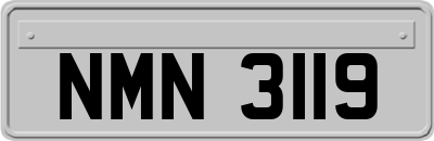 NMN3119