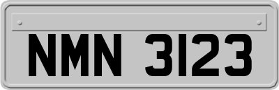 NMN3123