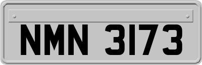 NMN3173