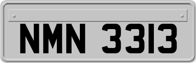 NMN3313