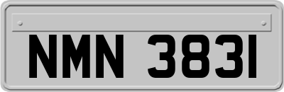 NMN3831