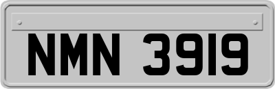 NMN3919