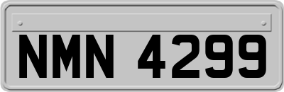 NMN4299
