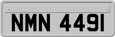 NMN4491