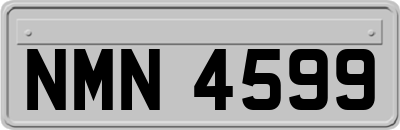NMN4599