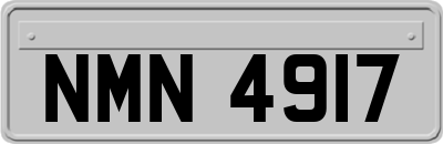 NMN4917